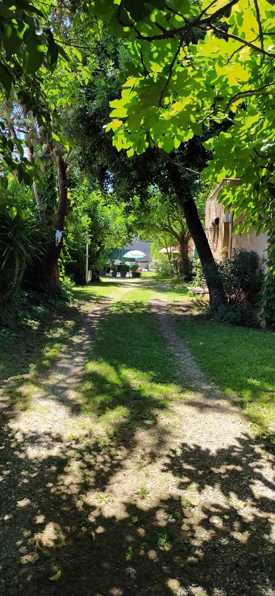 Abrivado Aimargues En Petite Camargue Leilighet Eksteriør bilde